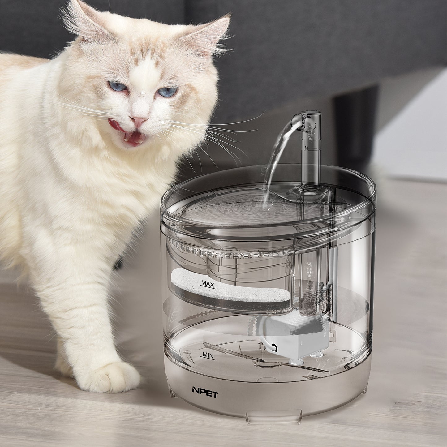 50Oz/1.5L Pet Fountain Automatic Water Fountain for Dogs and Cats