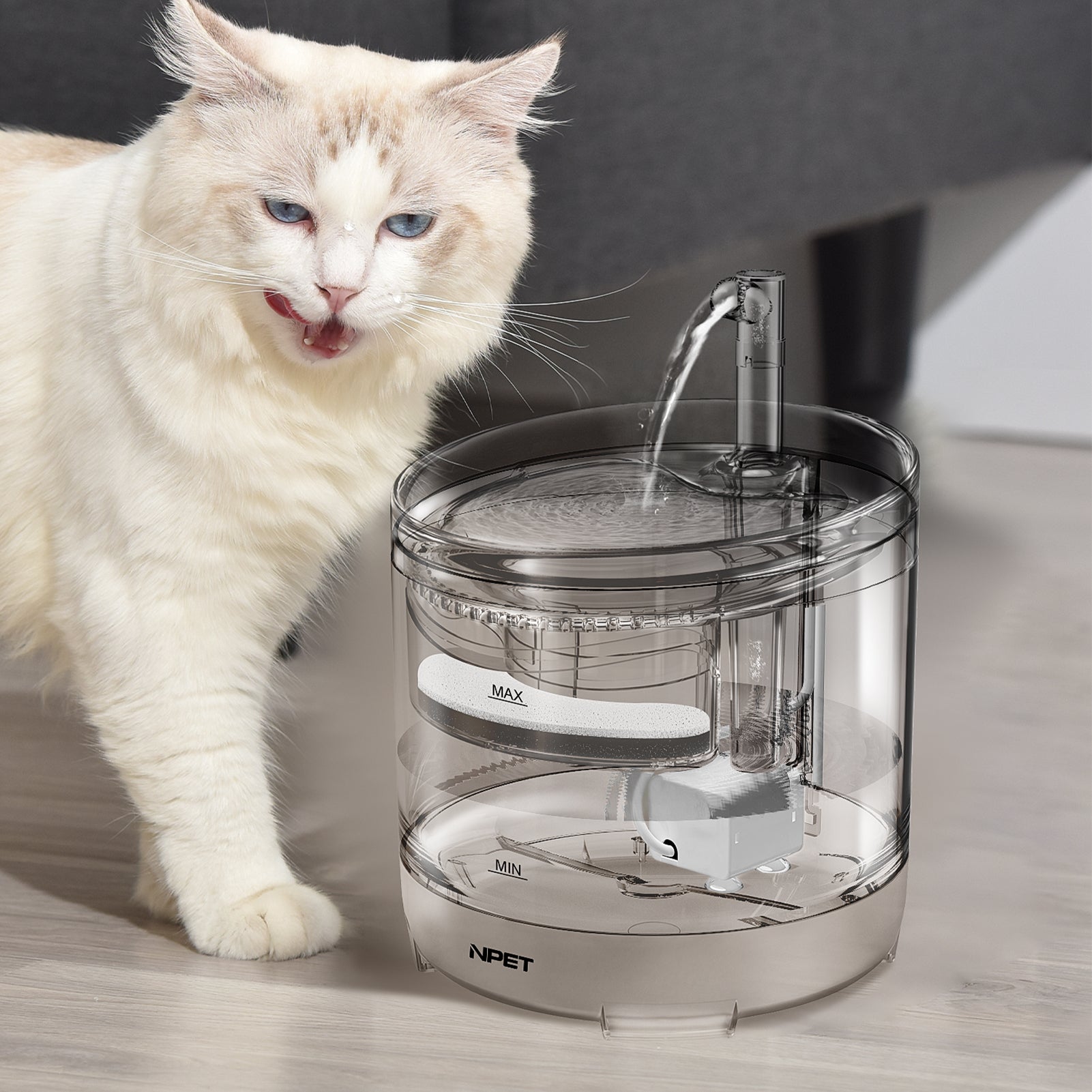 50Oz/1.5L Pet Fountain Automatic Water Fountain for Dogs and Cats
